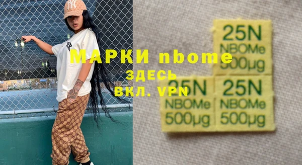 индика Баксан