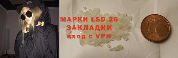 индика Баксан