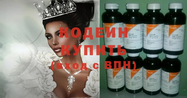 индика Баксан